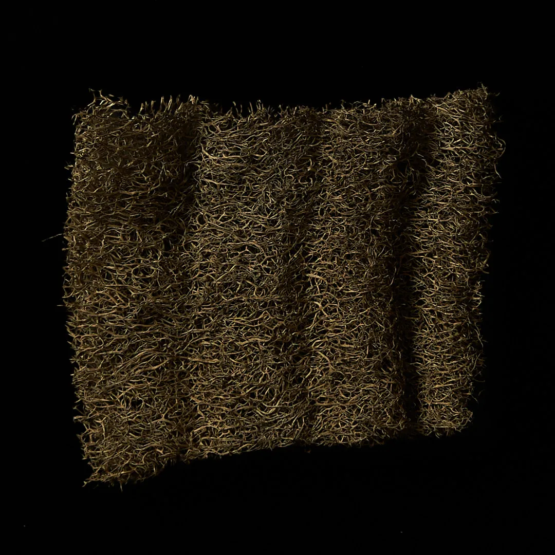 Rosemary dye