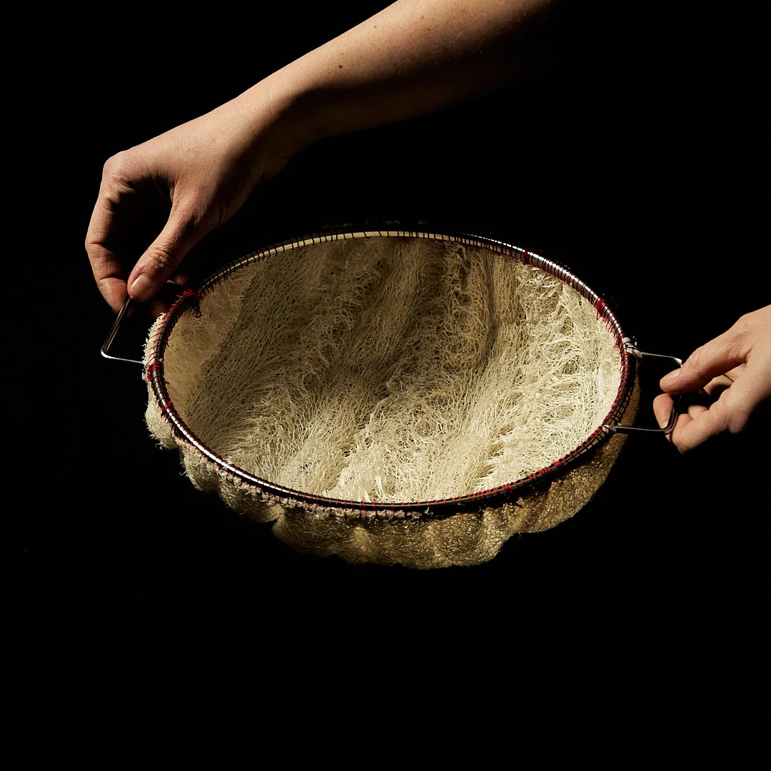 Colander