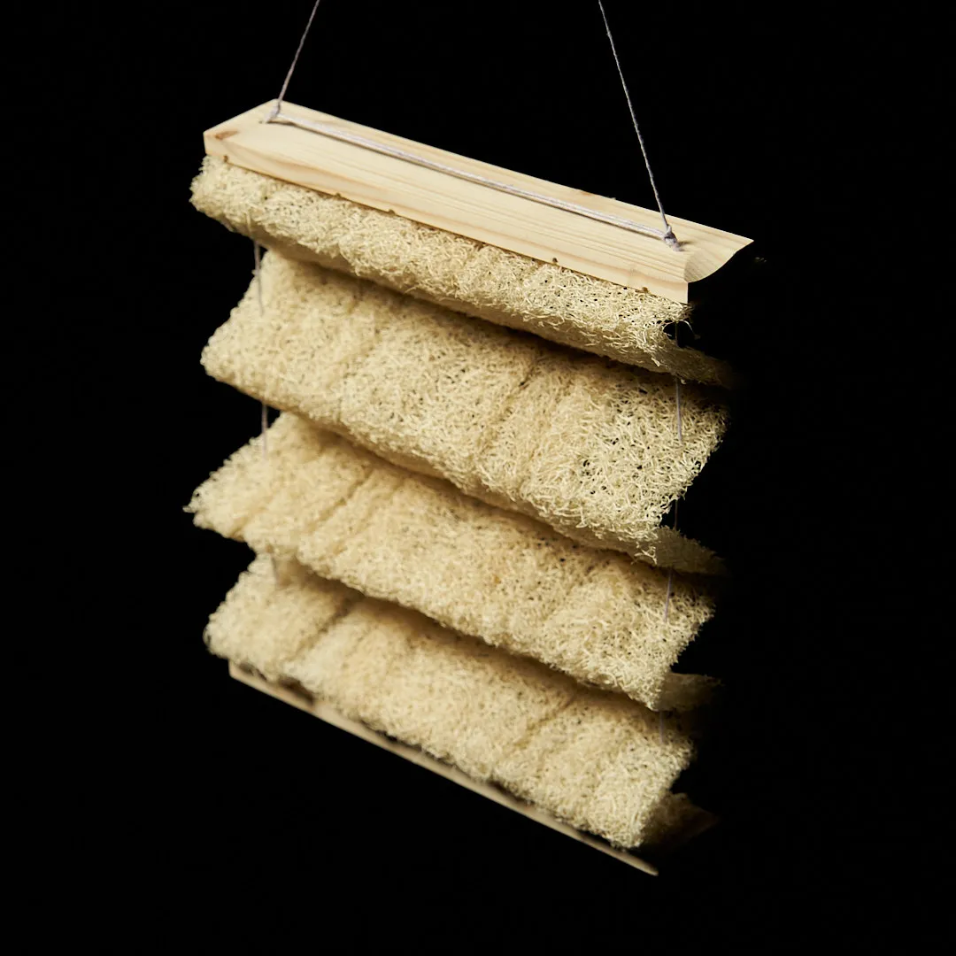 Curtain