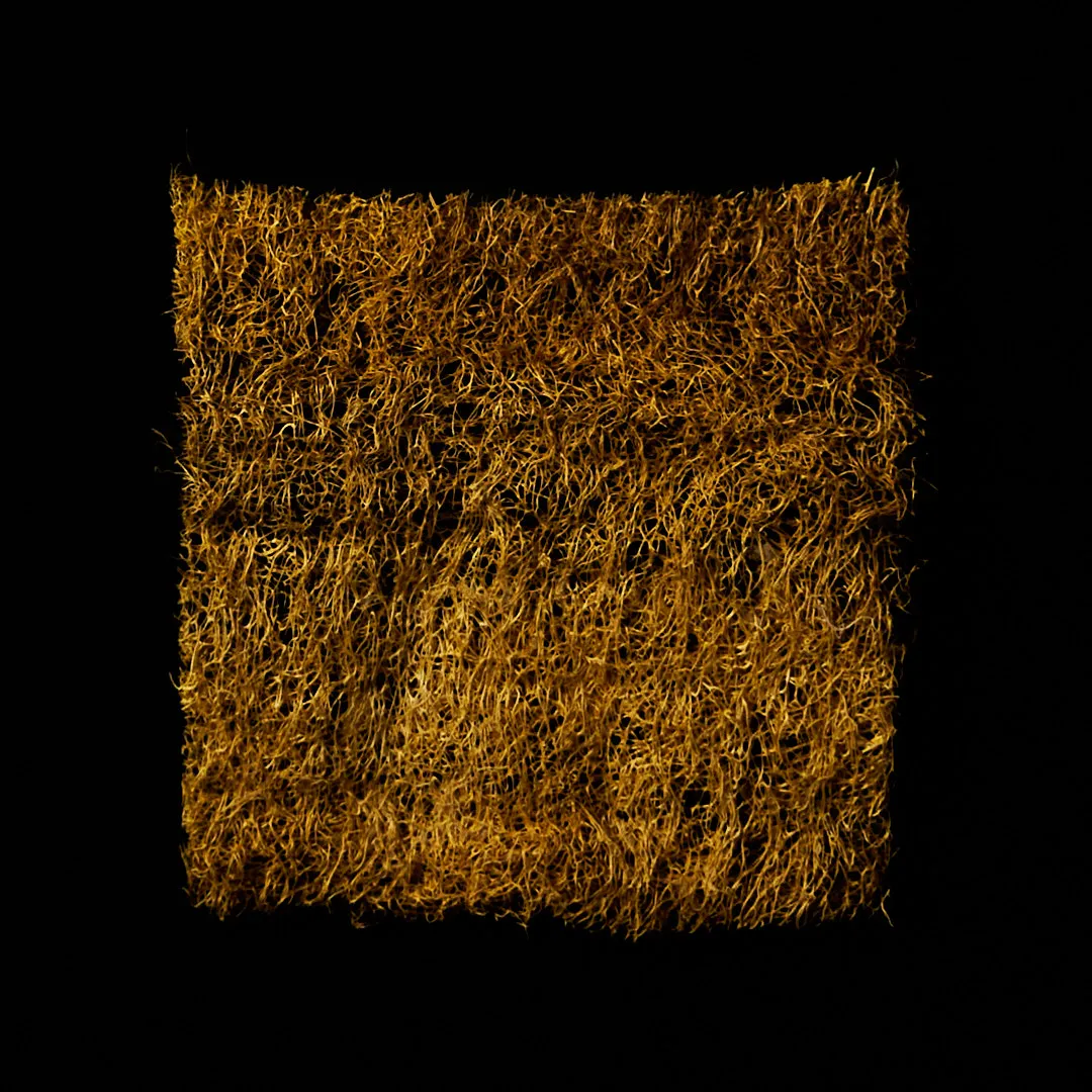 Turmeric dye