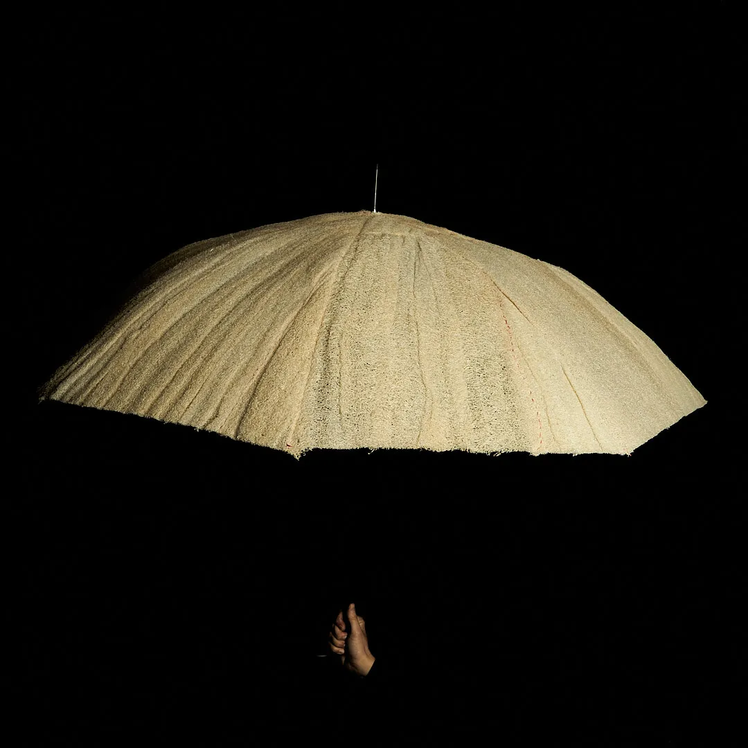 Parasol