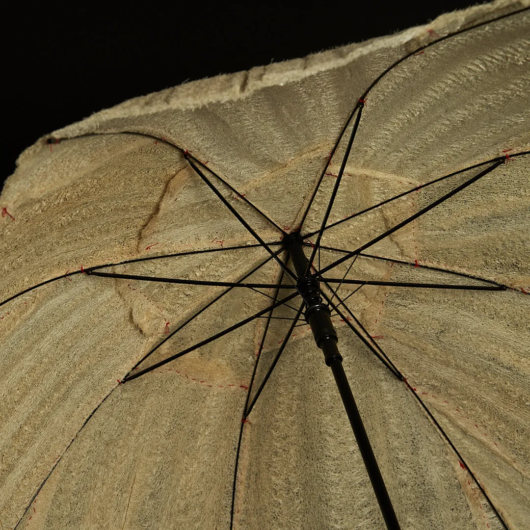 Parasol