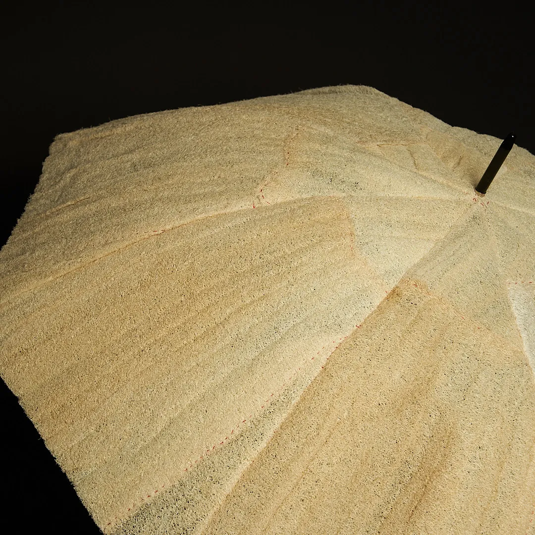 Parasol