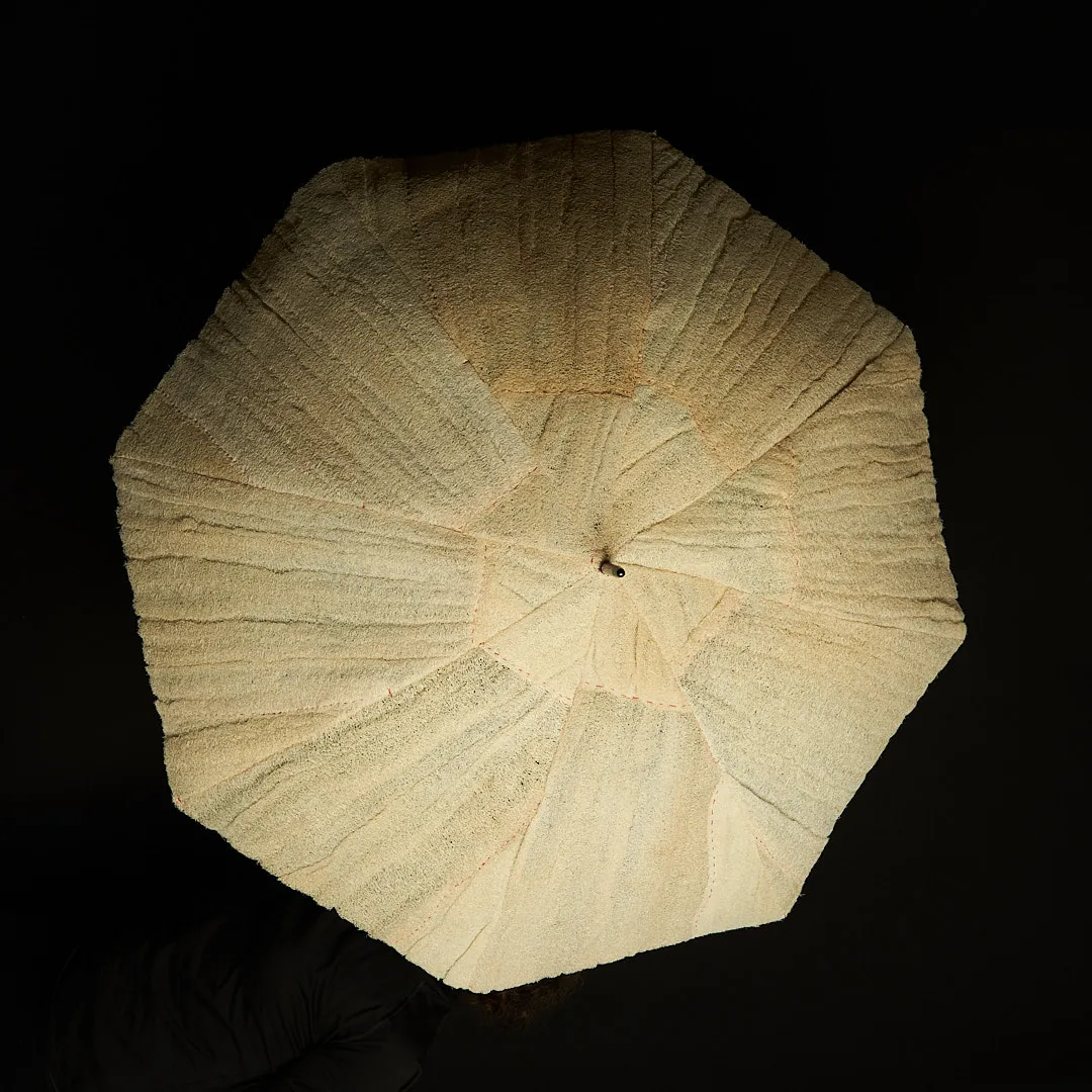 Parasol