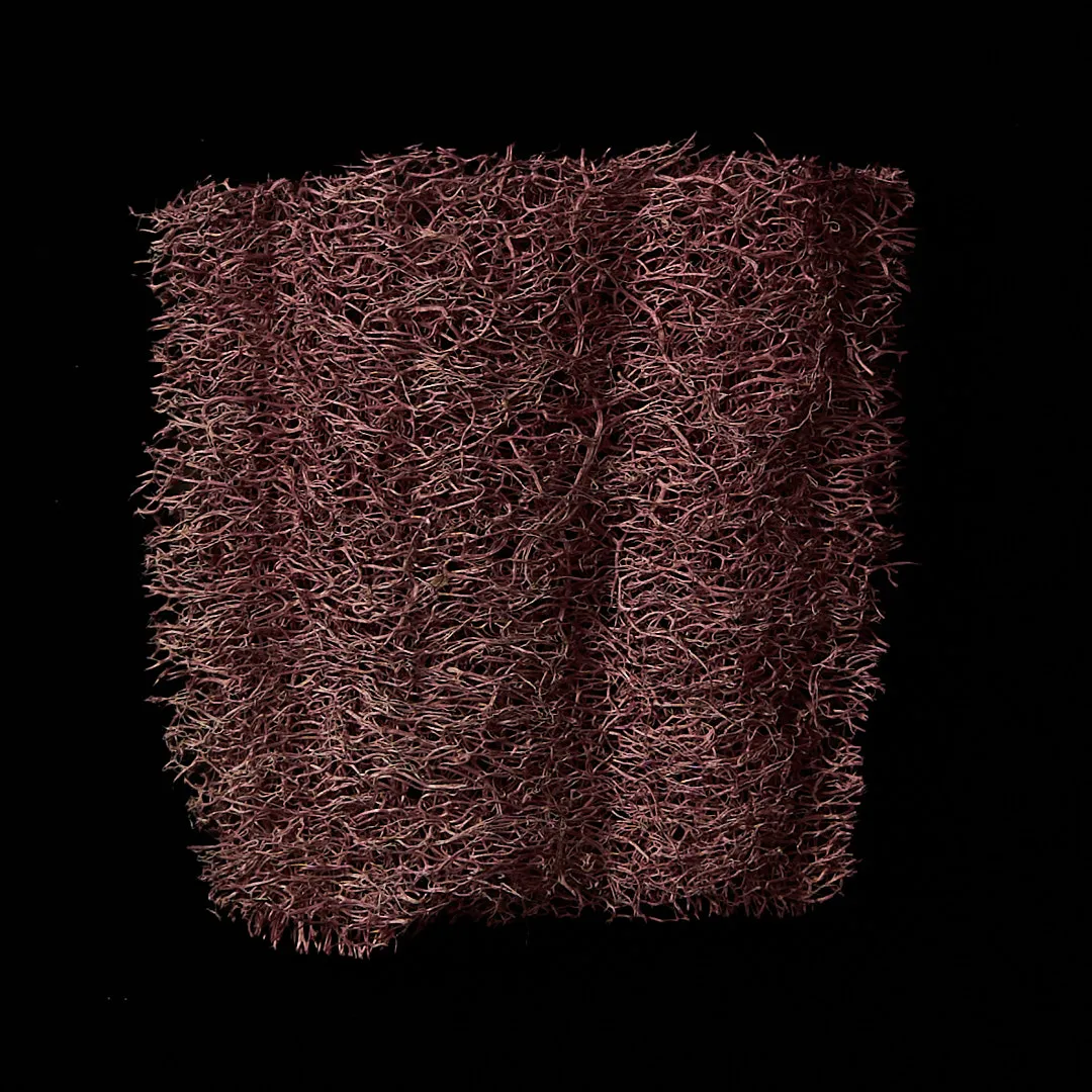 Pomegranate seed dye