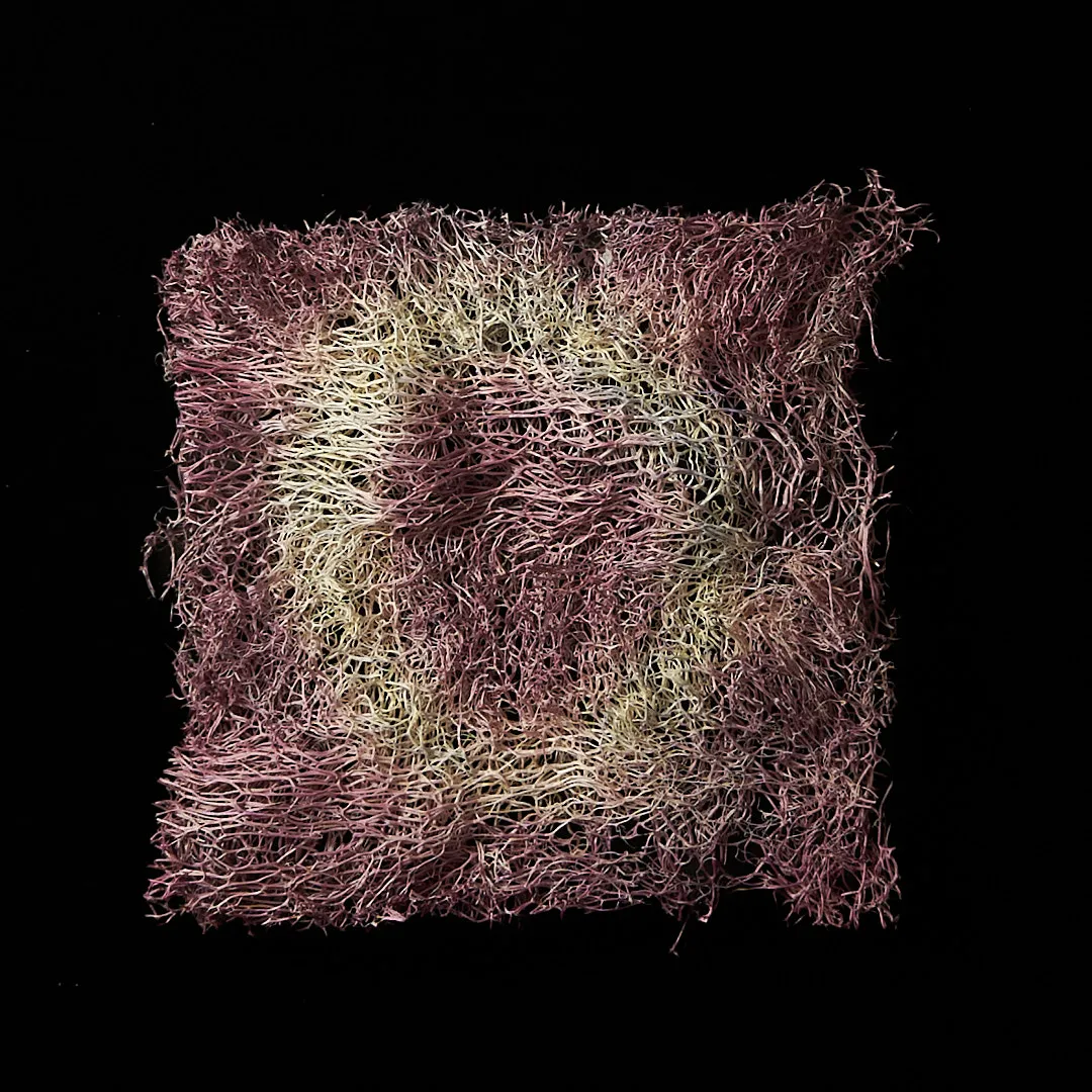 Pomegranate tie-dye